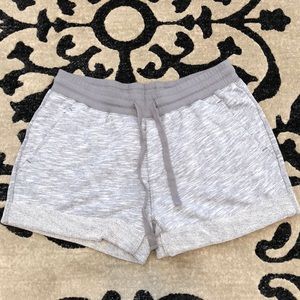 The Black Dog - Shorts